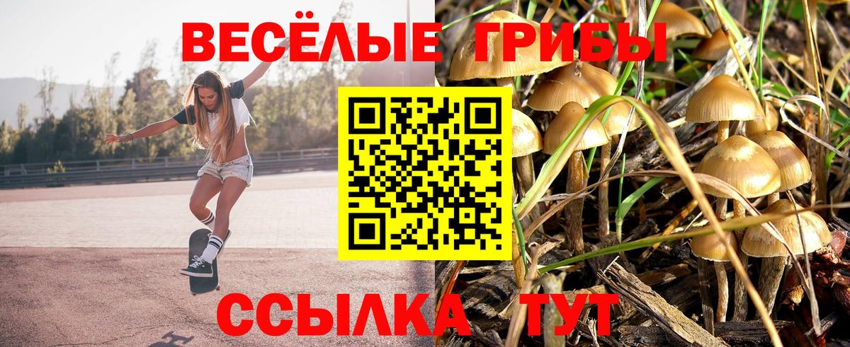 Павловский Посад  Галлюциногенные грибы Psilocybine cubensis  Вход с VPN 
