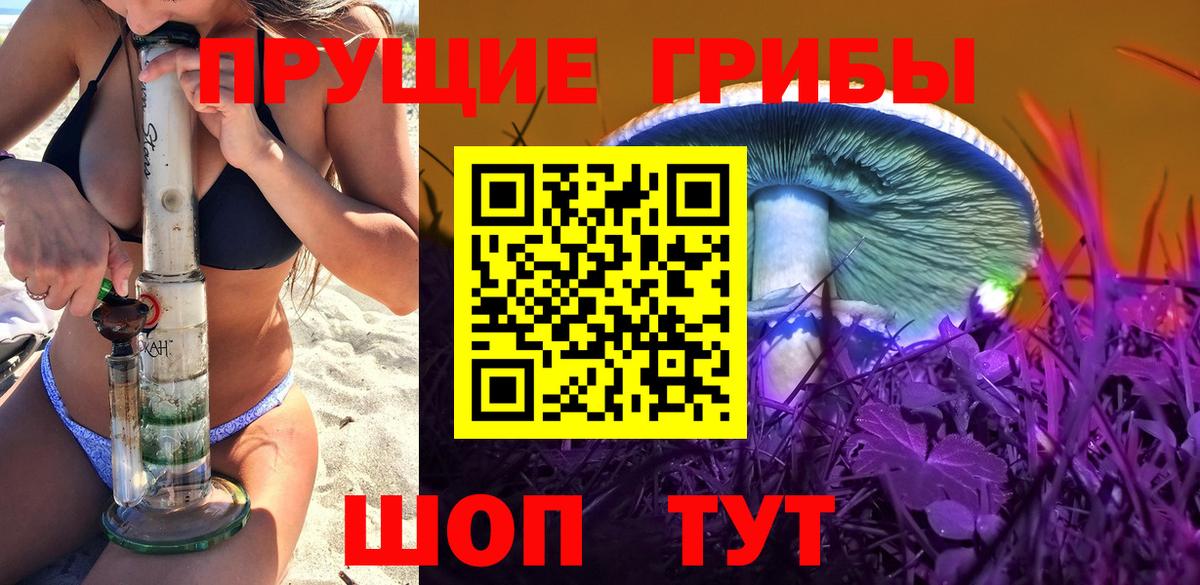Галлюциногенные грибы Psilocybe Павловский Посад