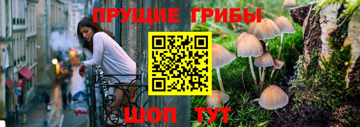 Павловский Посад  Вход с VPN  МЕФ   ЭКСТАЗИ  Марихуана  Гашиш  КОКАИН 